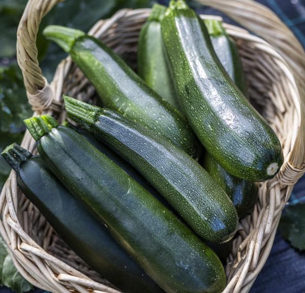 Grøntsager i en kurv hos gårdbutikken og landbruget Det Lille Økori