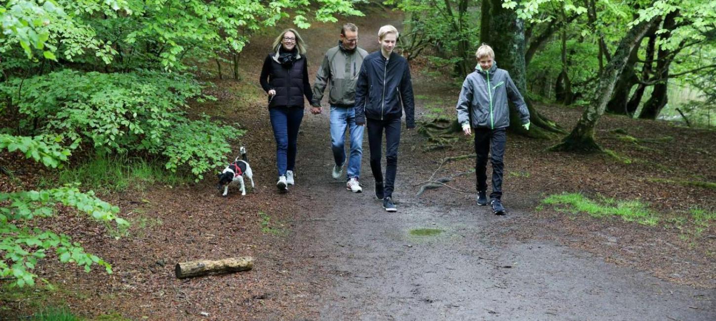 Vandretur Med Hund - Her Kan Du Gå Tur Med Hund