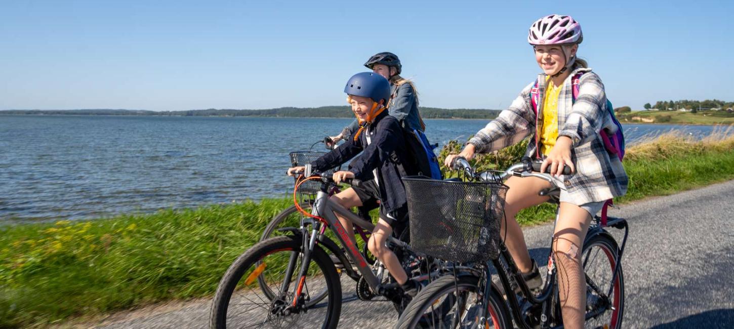 FAmilie med to børn cykler på Alrødæmningen