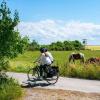 To der cykler ud af en sti på Endelave