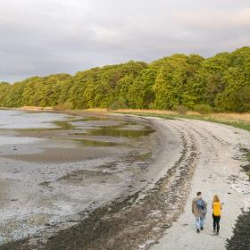 Par går på strand ved skov langs Horsens Fjord